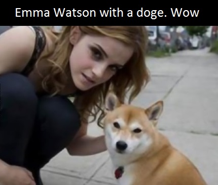 emma-watson-doge-wow
