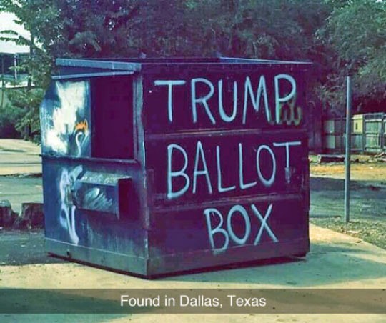 funny-Donald-Trump-ballot-box