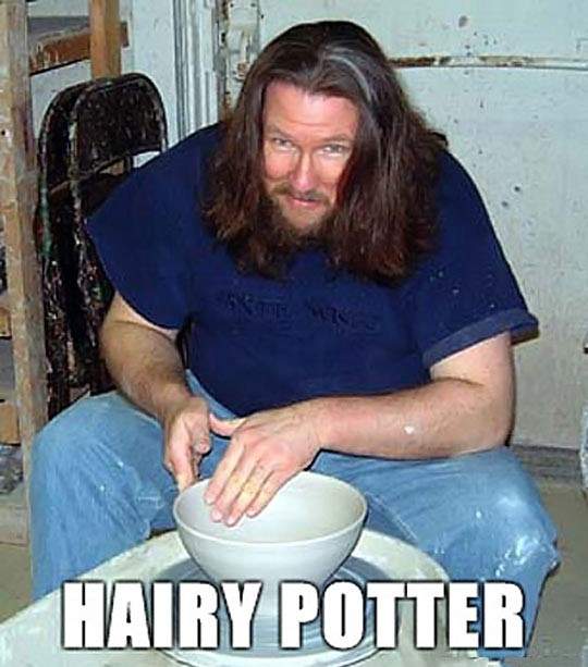 funny-Hairy-Potter-pottery