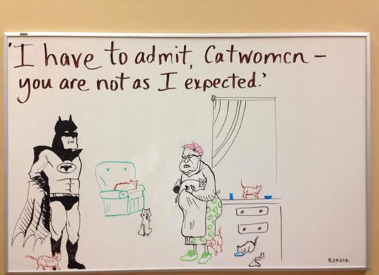 funny-batman-Cat-Lady-woman