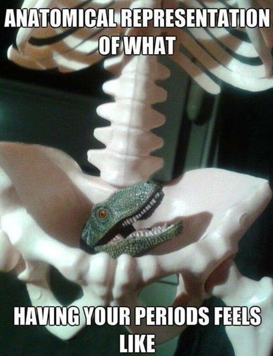 funny-dinosaur-head-skeleton-period
