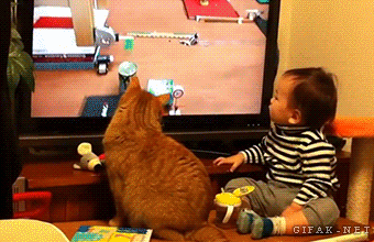 funny-gif-cat-baby-watching-TV-screen