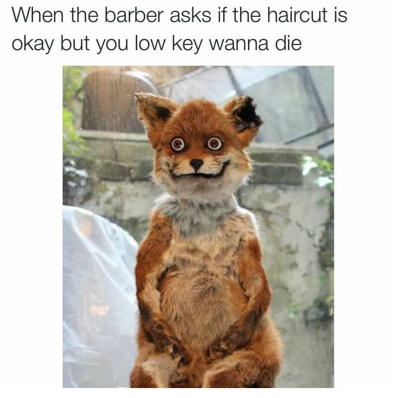 haircut-barber-face-reaction
