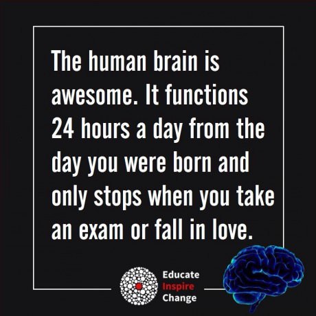 human-brain-love