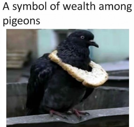 pigeons-bread-symbol-wealth