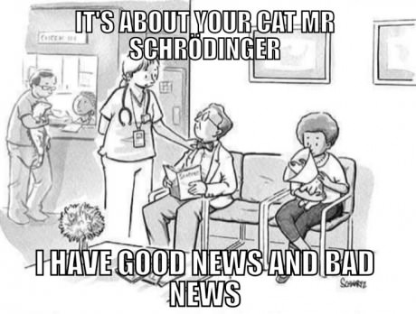 schrodinger-cat-bad-news-good-comics
