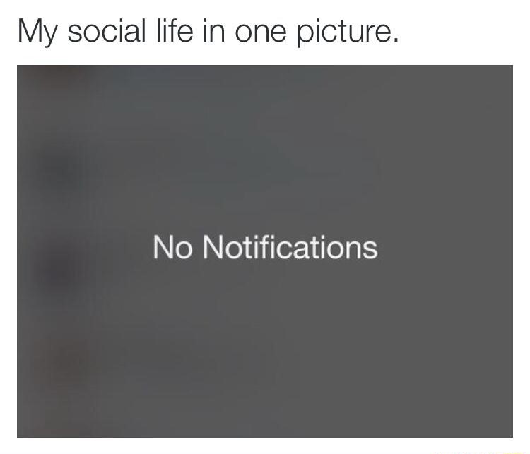 social-life-one-picture