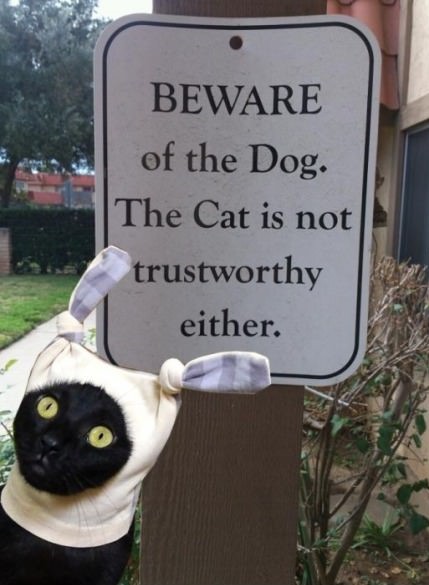 warning-sign-dog-cat