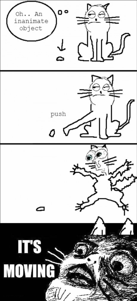 cats-logic-comics-object-moving