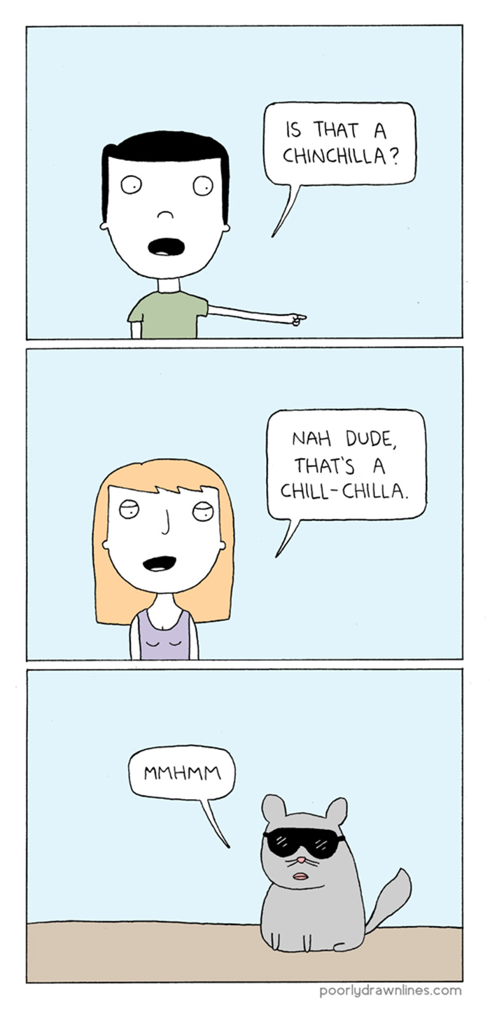 chinchilla-chill-cool-comics