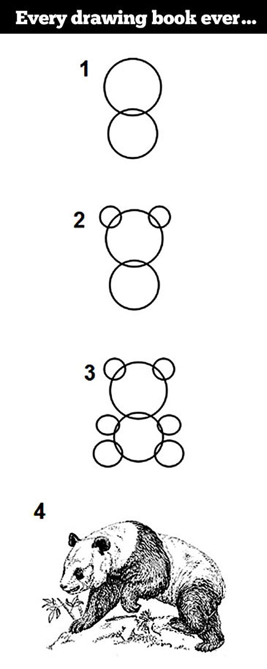 cool-drawing-book-bear-instructions