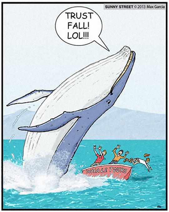 cool-whale-trust-fall-sea