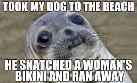 dog-beach-awkward-moment-swal