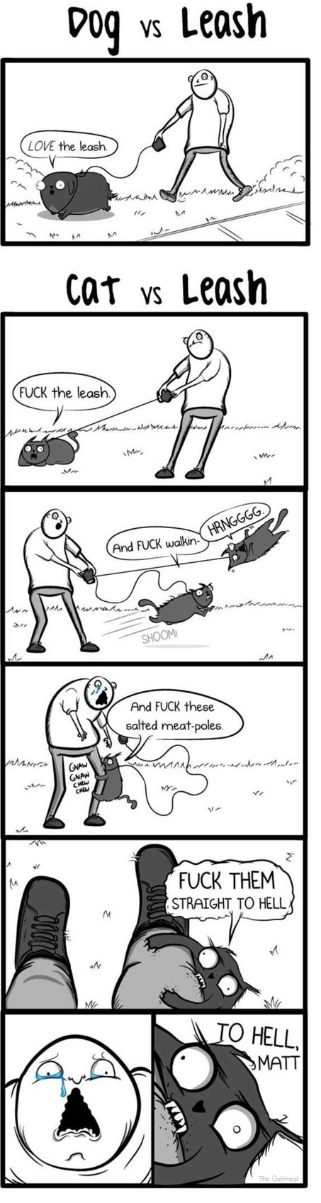 dog-cat-comics-leash