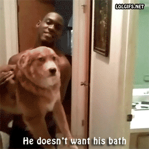 funny-gif-dog-bath-holding-door