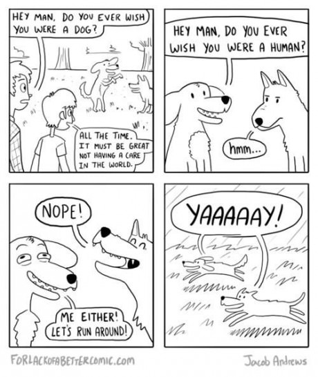 human-dog-comics