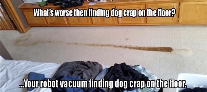 robot-vacuum-dog-crap