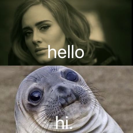 adele-hello-awkward-moment-seal