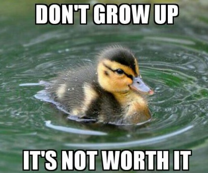 advice-duck-dont-grow-up