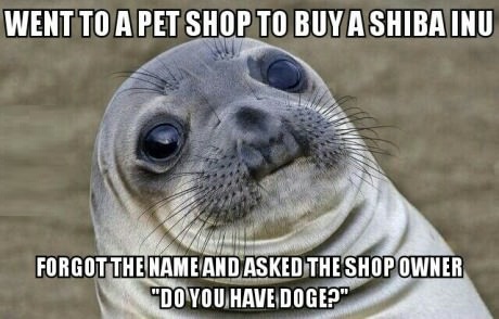 awkward-meme-seal-dog-buying-doge