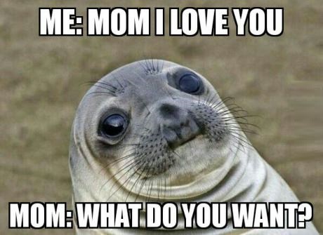 awkward-moment-seal-mom