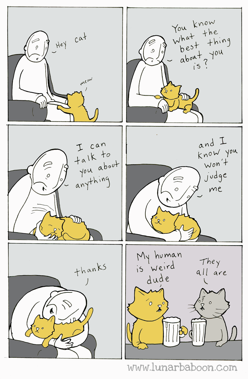 cat-talking-lunarbaboon-comics