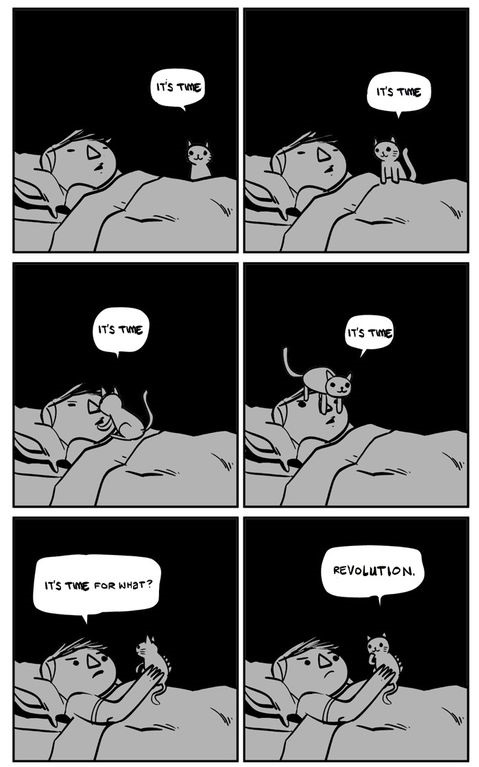 comics-cat-revolution-night