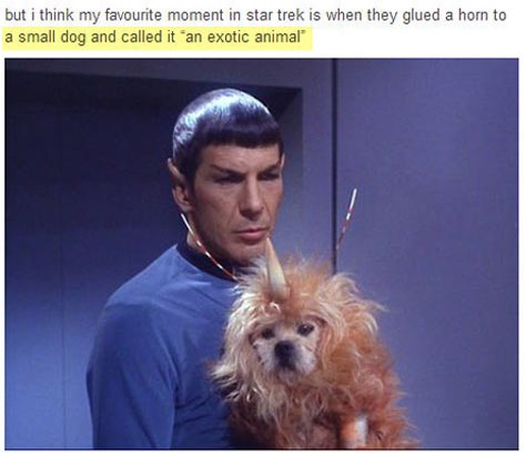 cool-Star-Trek-dog-costume-exotic