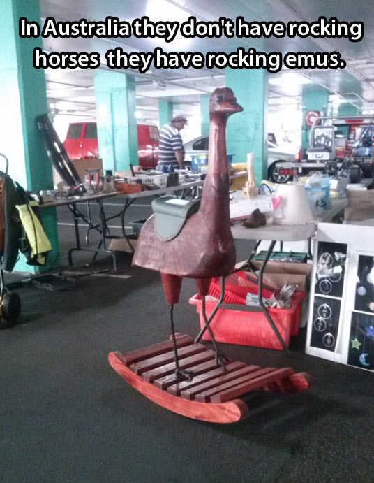 cool-emu-play-horse