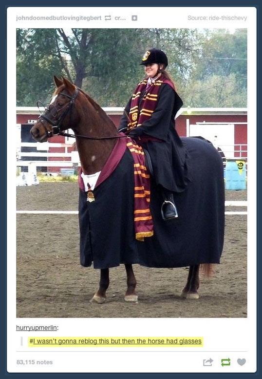 cool-girl-Harry-Potter-costume-horse-glasses