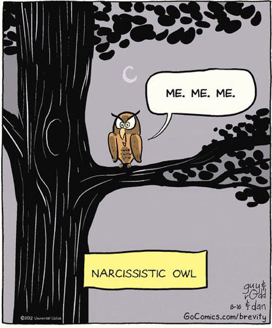 cool-owl-narcissistic-comic