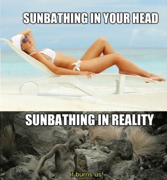 Sunbathing: Expectation vs. Reality