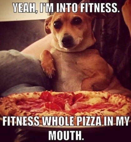 fitness-pizza-dog
