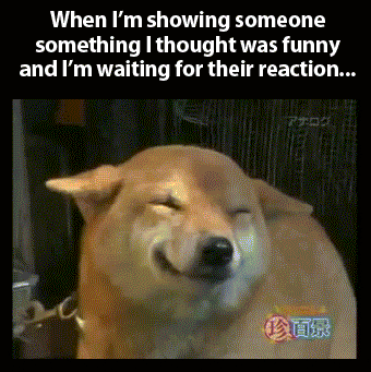 funny-gif-dog-face-smiling-reaction-friends