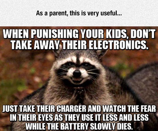 funny-raccoon-meme-suspicious