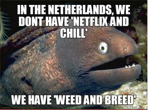 netherlands-netflix-and-chill-weed
