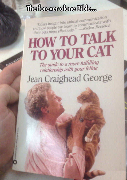 cool-cat-book-talk-old-woman-cover