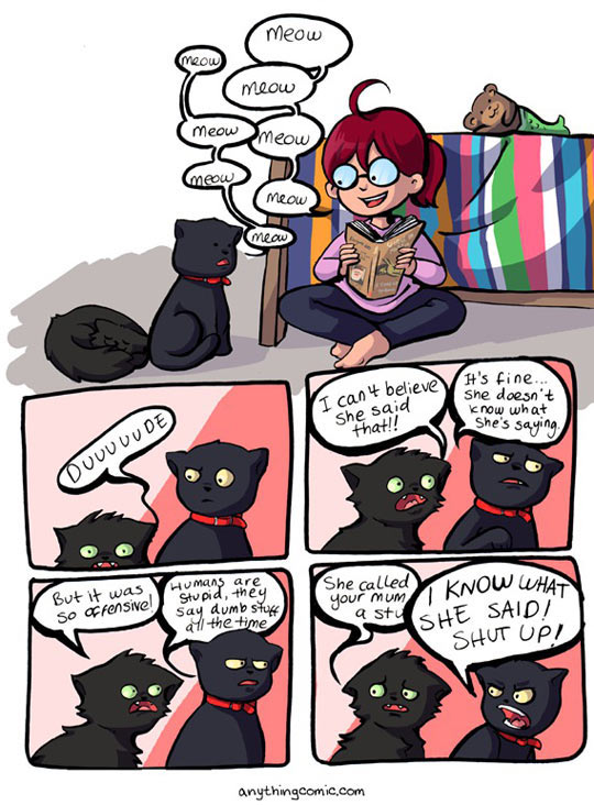 cool-girl-talking-cats-comic