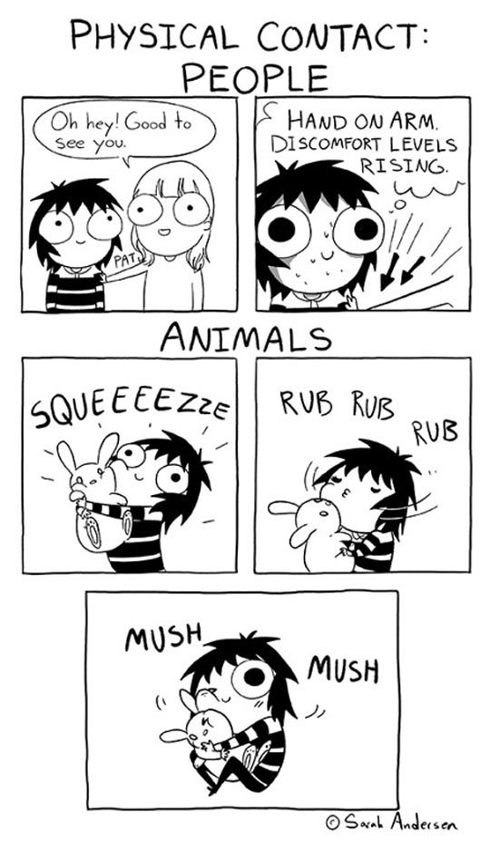 funny-comic-pet-hug