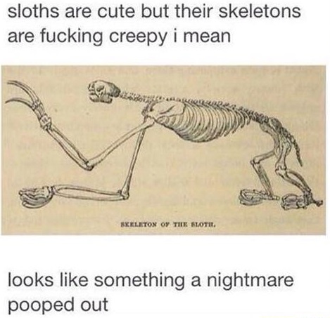 sloths-skeletons-nightmare-creepy