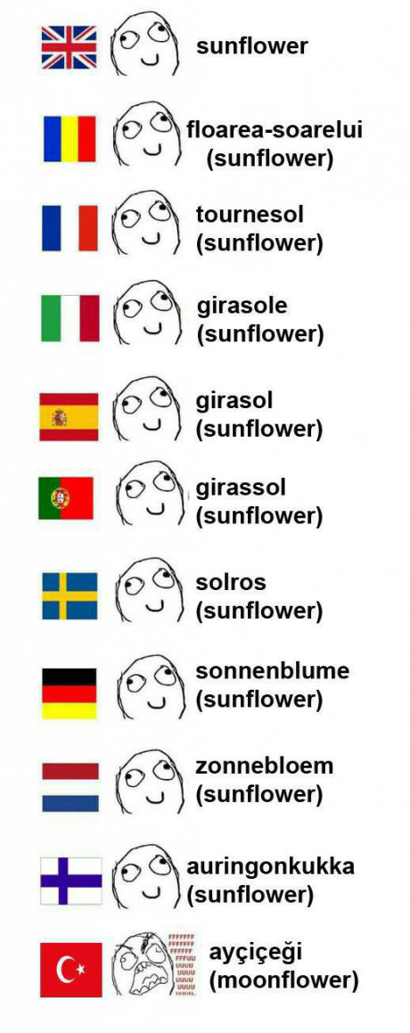 sunflower-comics-turkish