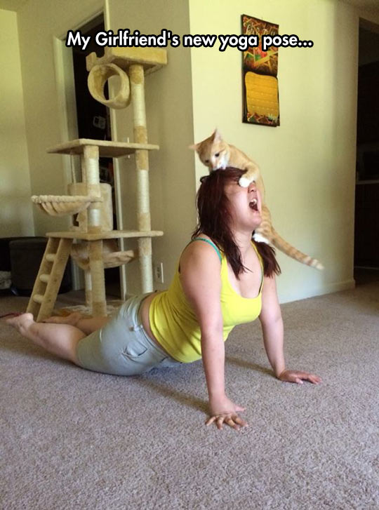 cool-girl-Yoga-pose-cat-floor