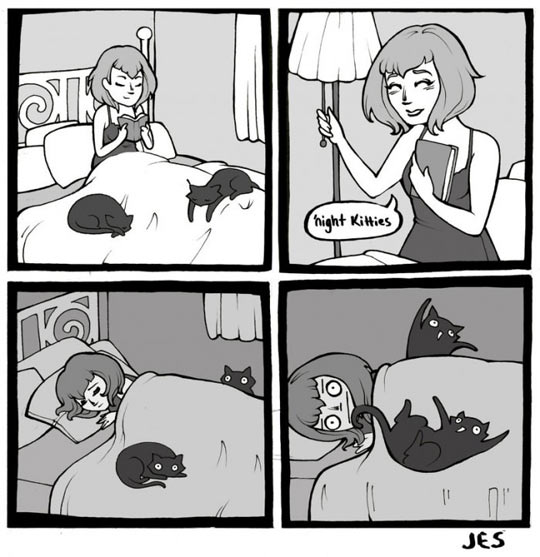 cool-girl-cat-bed-sleeping-crazy-comic