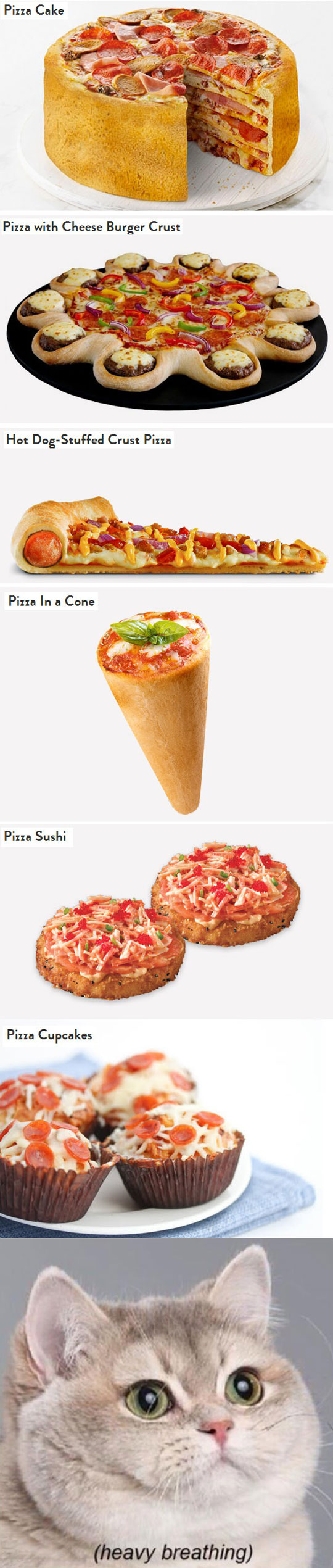 food-pizza-sushi-cone