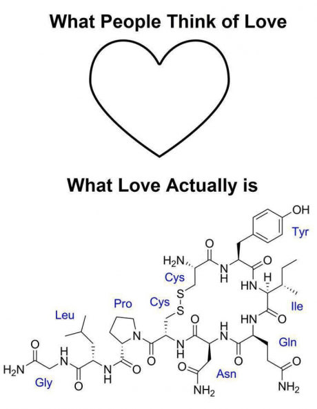 love-formula-reality