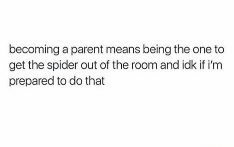parent-spider-room-not-ready