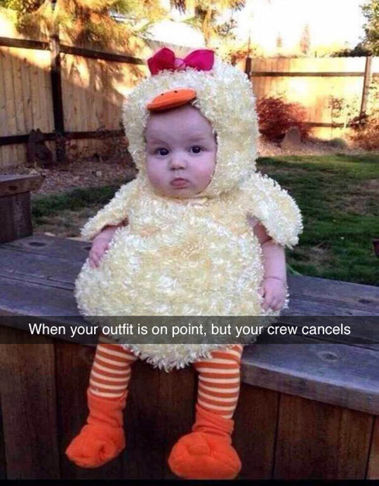 cool-chicken-disguised-baby-cute
