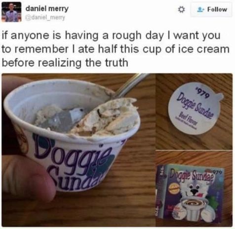 ice-cream-fail-dog