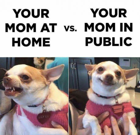 mom-public-home-meme