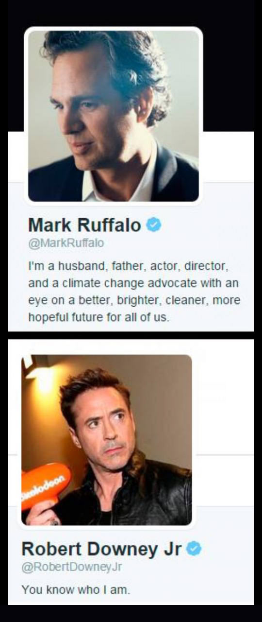 cool-Mark-Ruffalo-Robert-Downey-Twitter